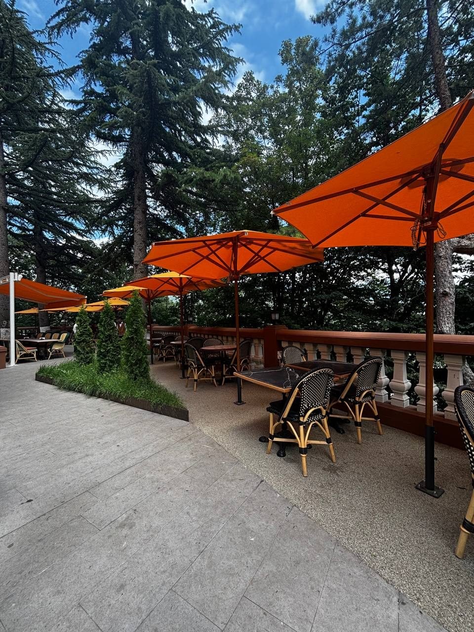 Cabinet Café & Restaurant image 3